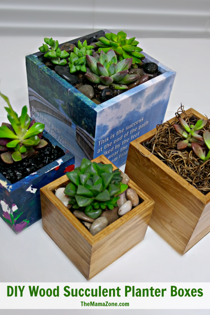 DIY-Wood-Succulent-Planter-Boxes