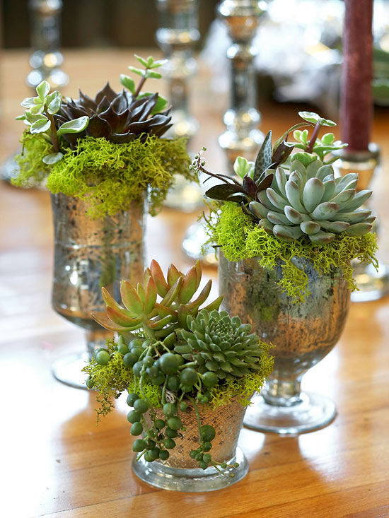 Decorate with Succulent in Mercury Glass! 