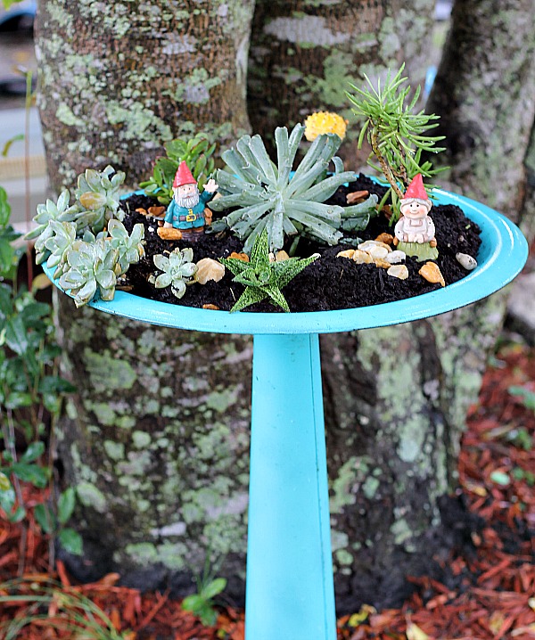 succulent-bird-bath-planter