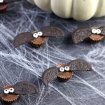 Oreo bat snacks on a spider web.