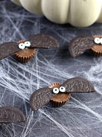 Oreo bat snacks on a spider web.