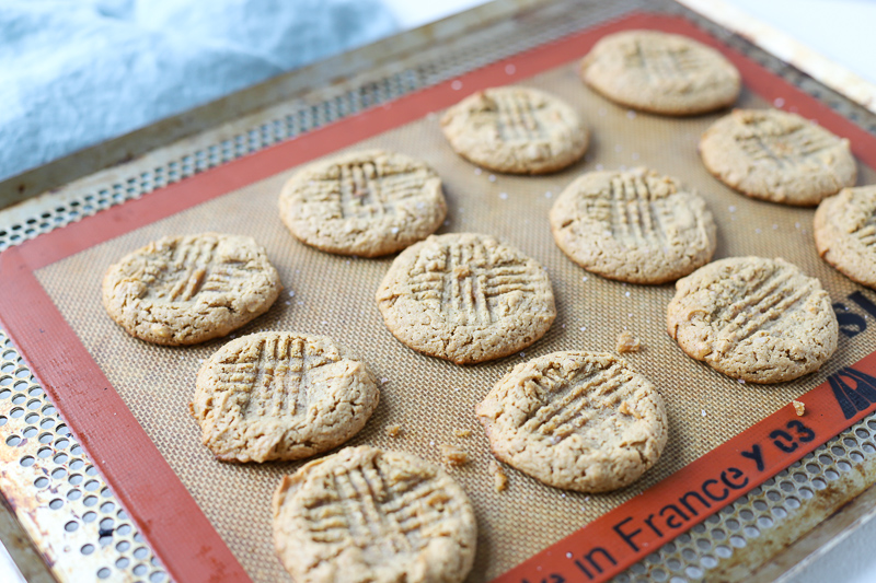 baked gf peanut butter cookies on cookie sheet