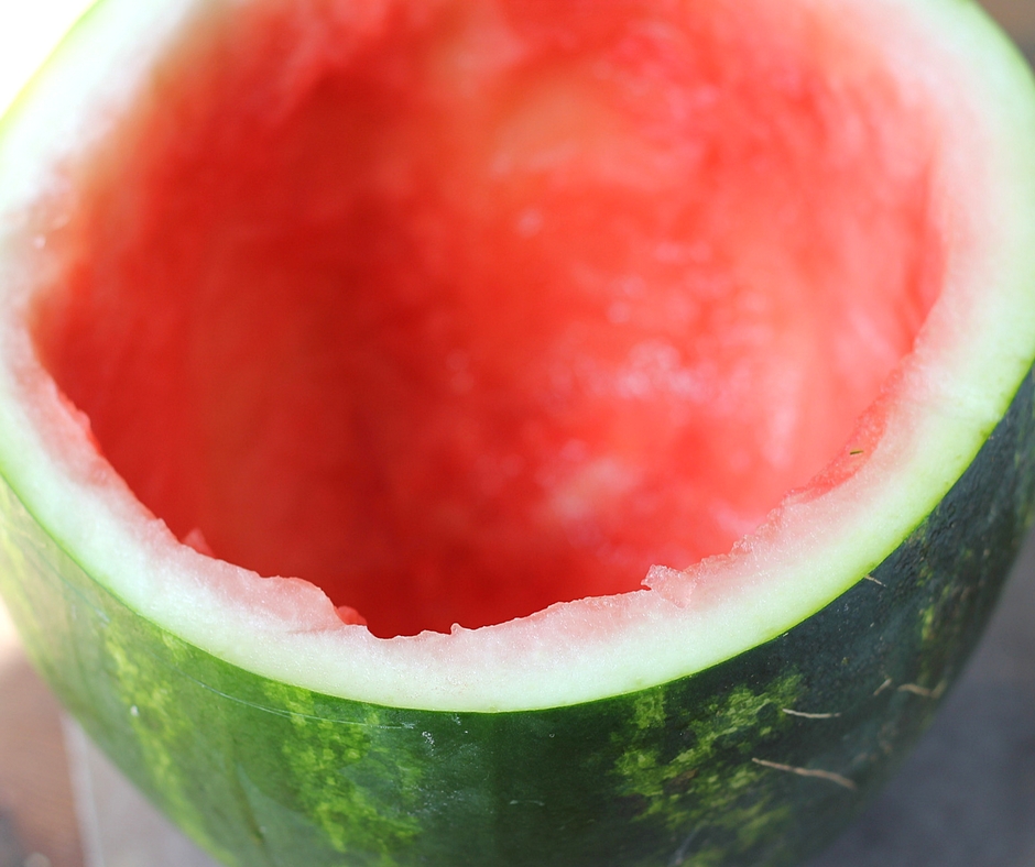 A hollowed out watermelon.