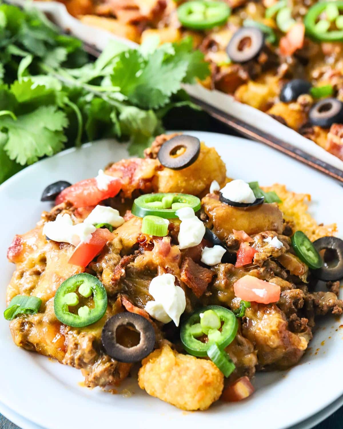 Plate piled with tater tot nachos.