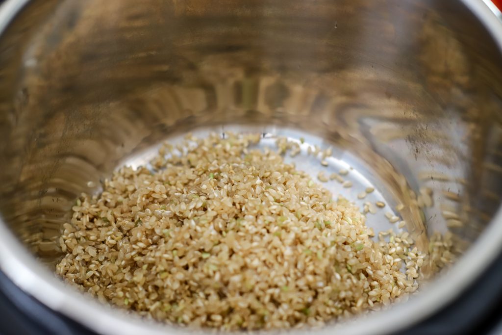 Rice in the pot of a pressure cooker