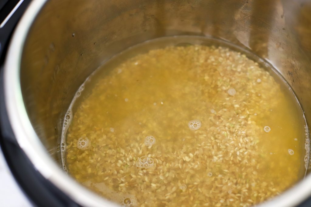 Rice and broth in the Instant Pot