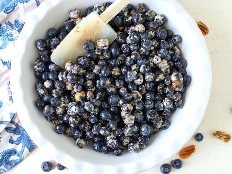 Blueberries in a baking dish