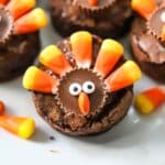 Cute turkey brownie with candy eyes.