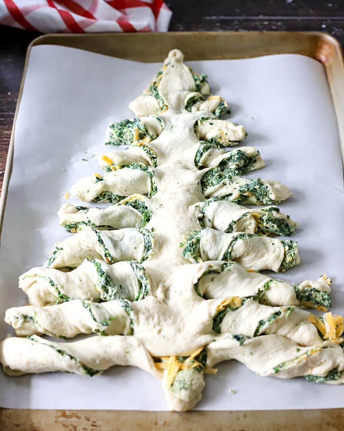 Pizza dough cut and twisted to form branches on a tree.