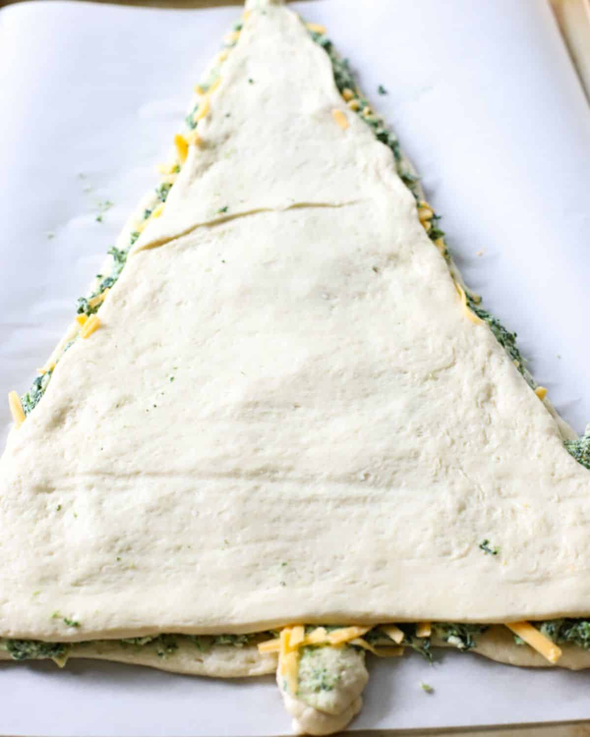 Pizza crust made to look like a Christmas tree.