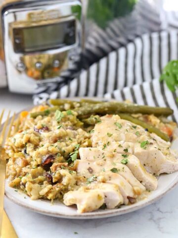 Plate of chicken and stuffing.