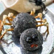 Black cheesy spider for Halloween parties.