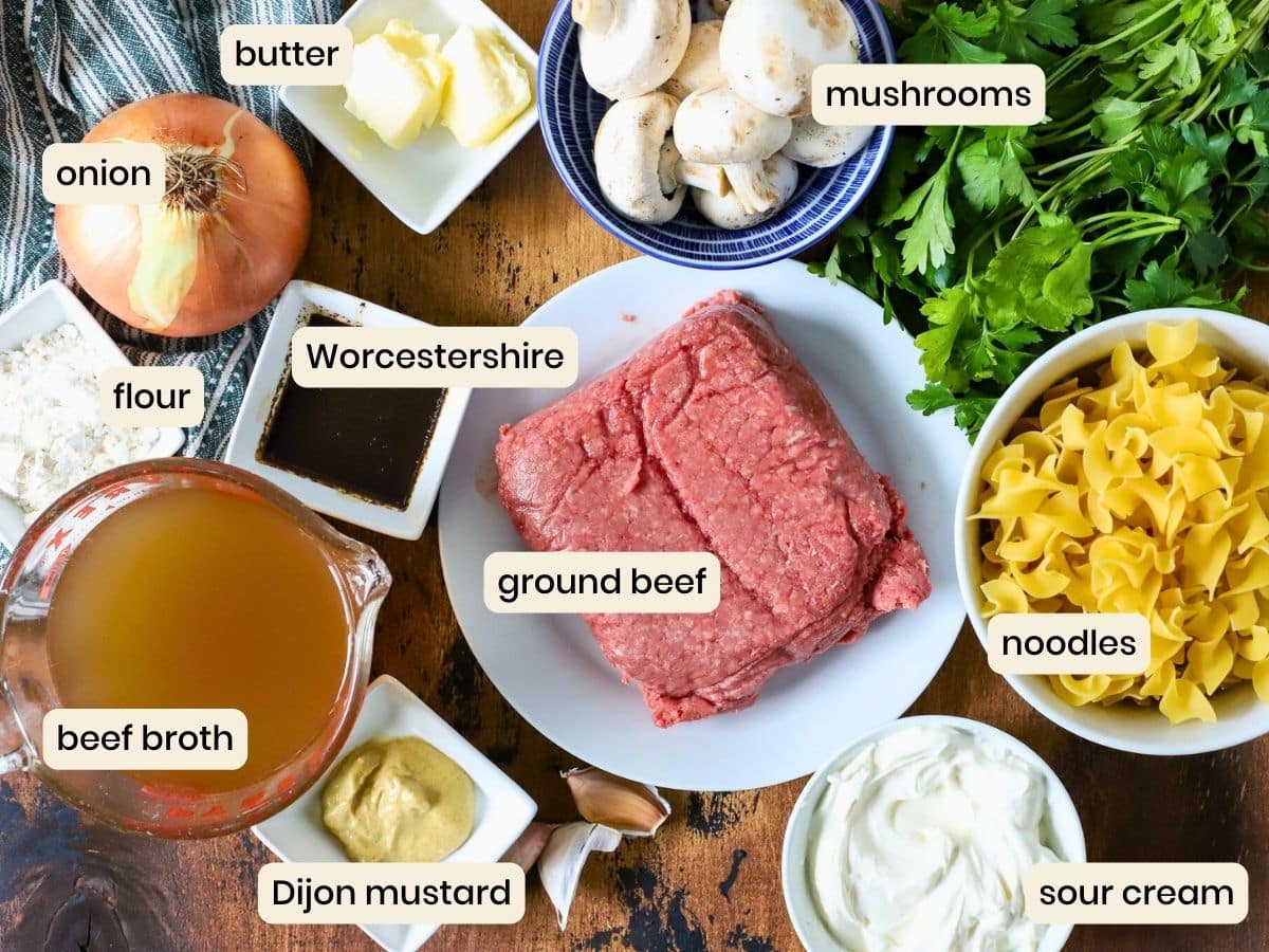 Ingredients to make beef stroganoff.