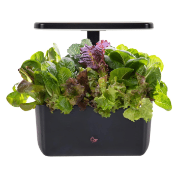 AEROGARDEN