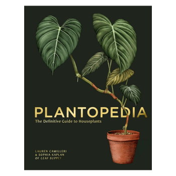 PLANTOPEDIA