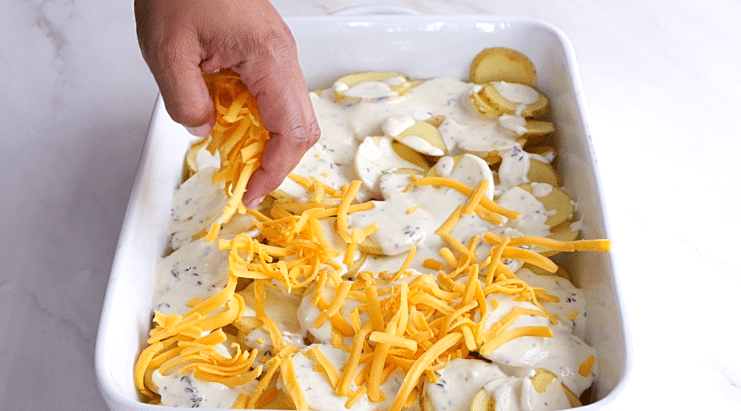 Sprinkling shredded cheddar over potatoes and cream sauce