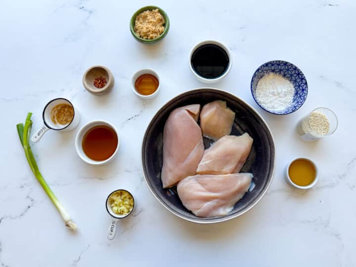 Ingredients for crock Pot Teriyaki chicken