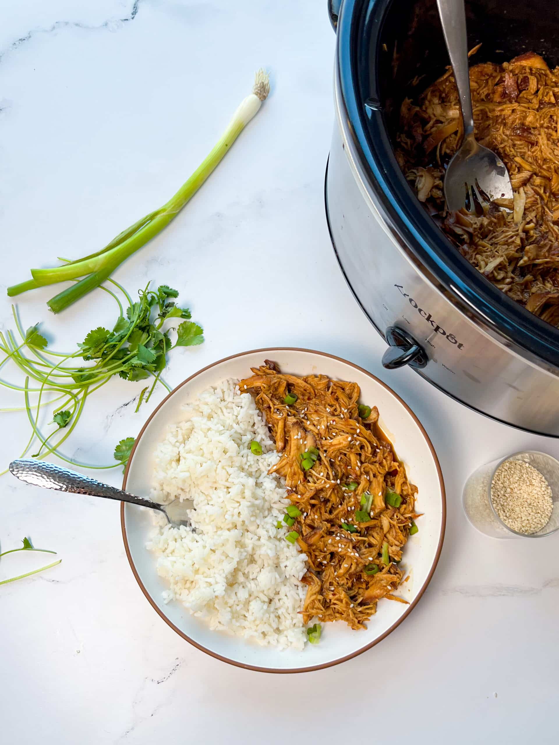 Crock Pot Teriyaki Chicken