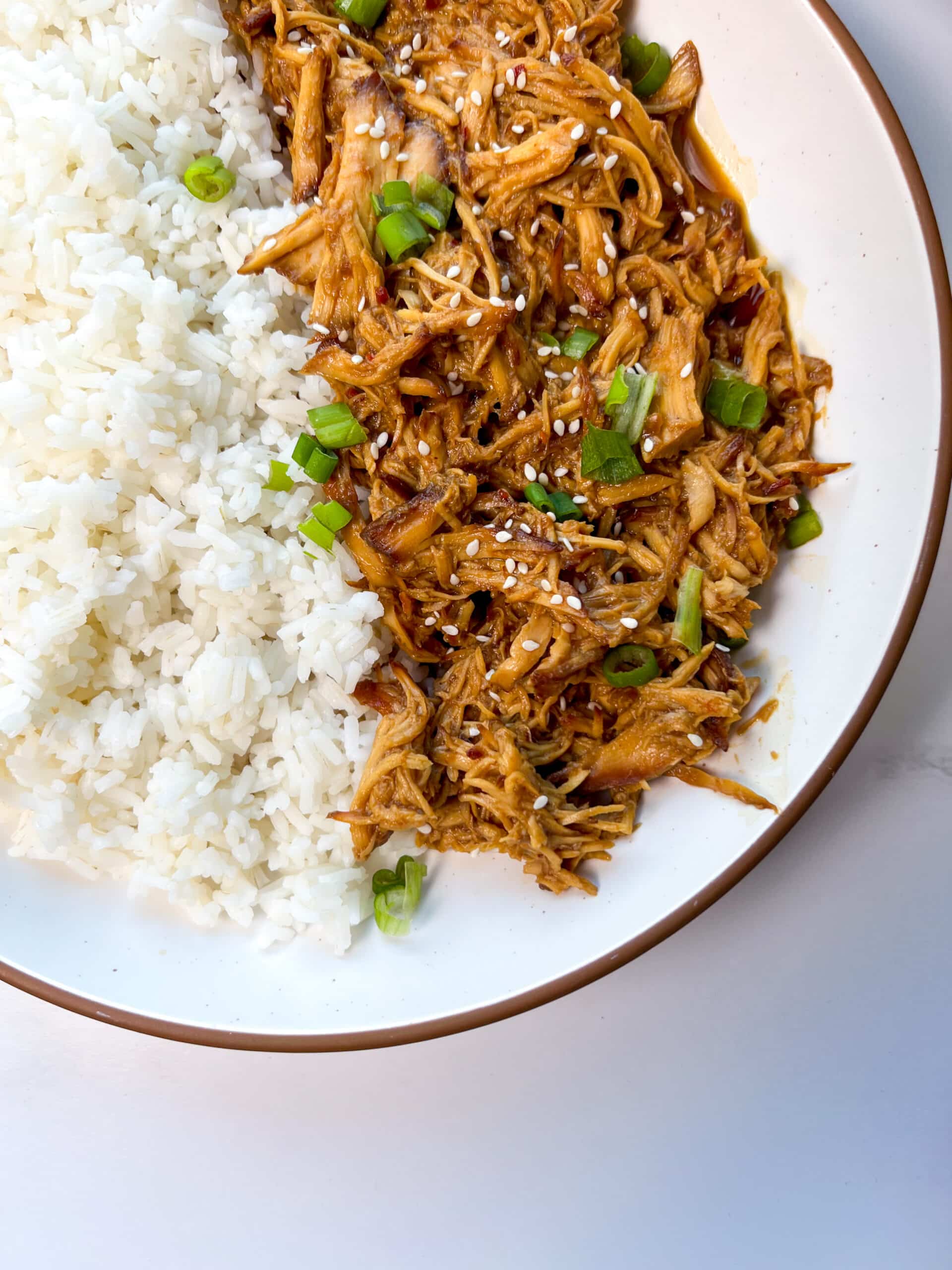 Crock Pot Teriyaki Chicken close-up