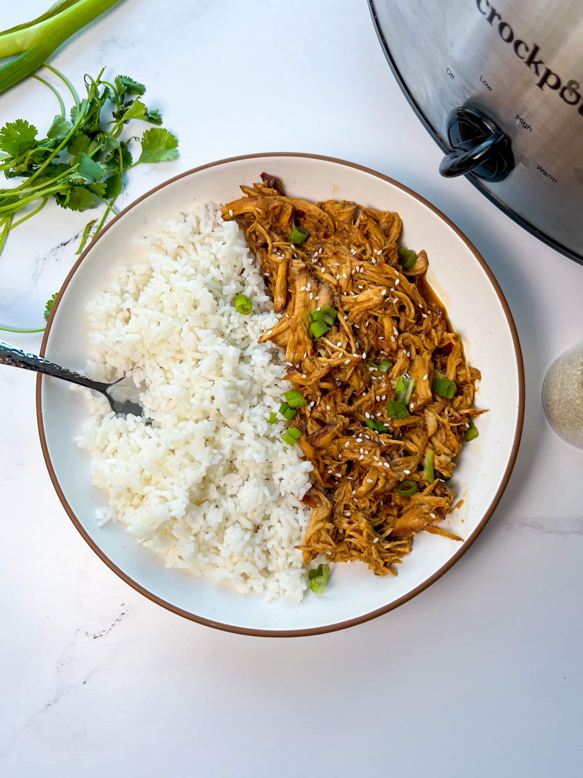 Crock Pot Teriyaki Chicken