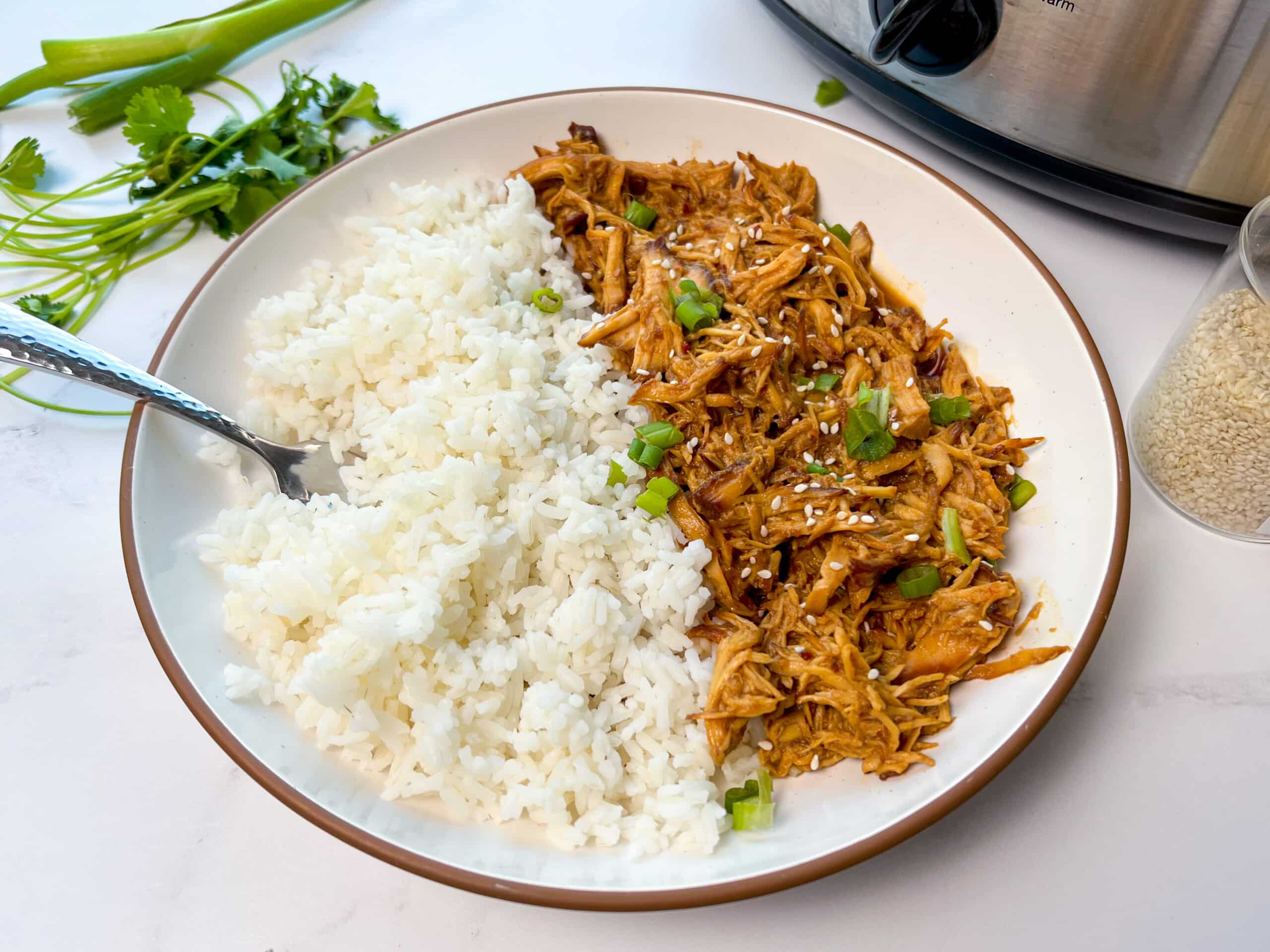 Crock Pot Teriyaki Chicken from the side