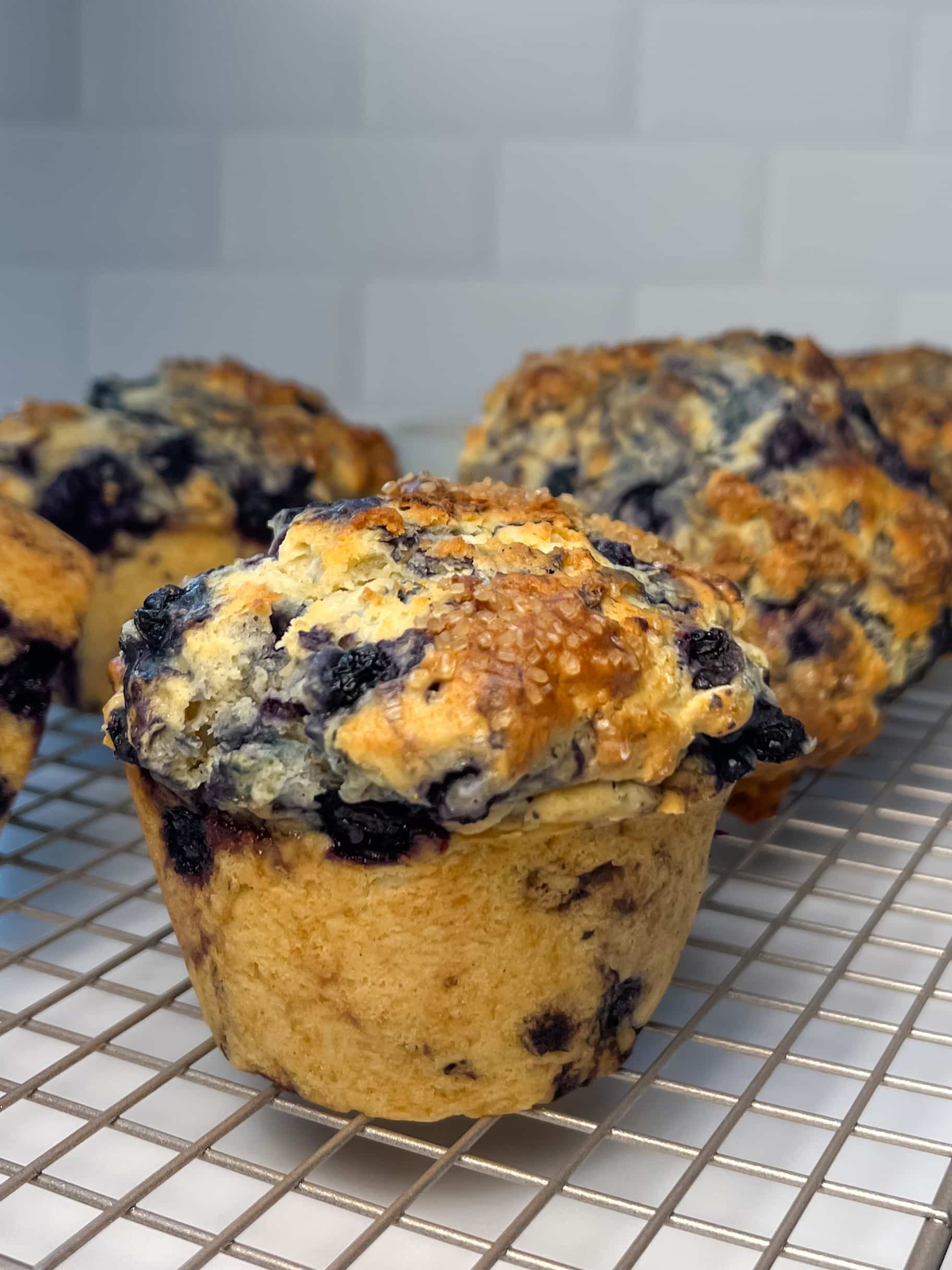 Close-up of buttermilk blueberry muffins after baking