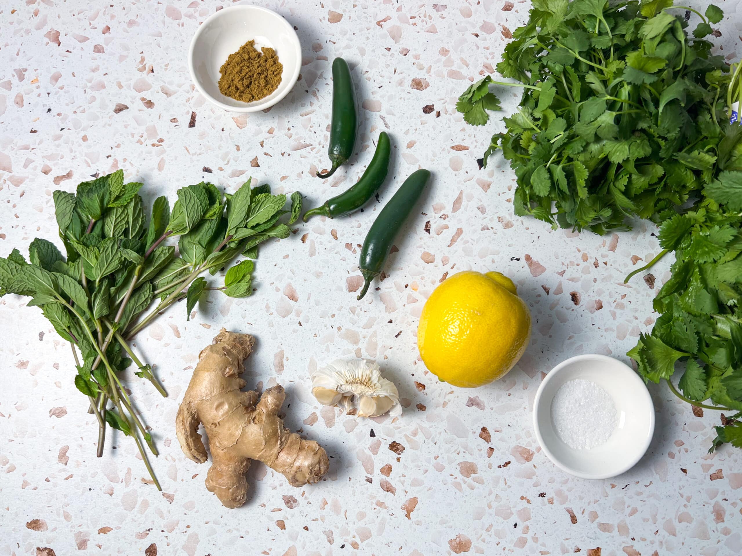 Ingredients for green chutney